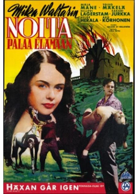 Noita palaa elämään