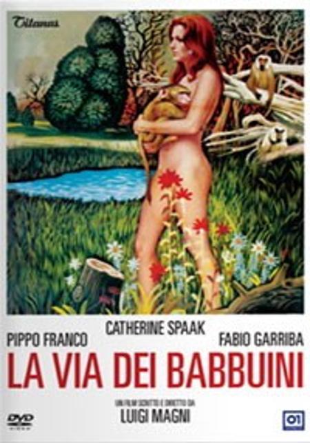 La via dei babbuini