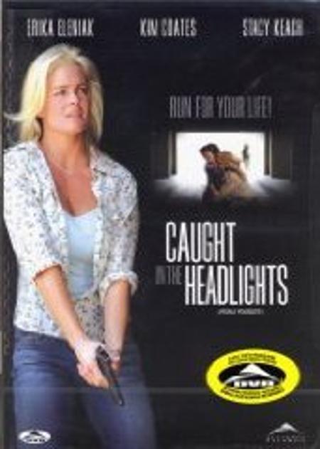 Caught in the Headlights