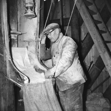 Miller 사람 명부 